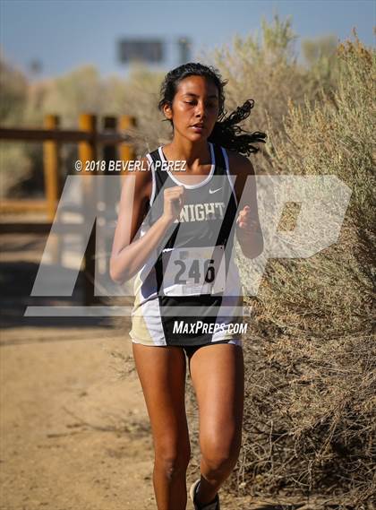 Thumbnail 3 in Golden League Meet #1  photogallery.