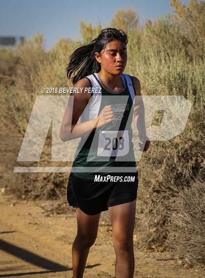Thumbnail 1 in Golden League Meet #1  photogallery.