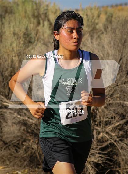 Thumbnail 1 in Golden League Meet #1  photogallery.