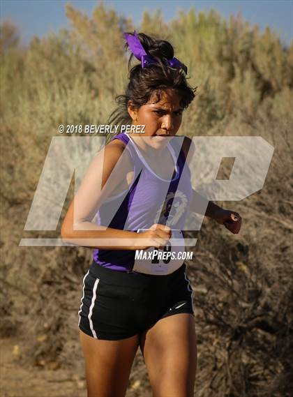 Thumbnail 1 in Golden League Meet #1  photogallery.