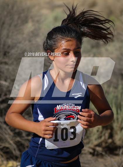 Thumbnail 2 in Golden League Meet #1  photogallery.