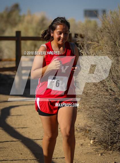 Thumbnail 1 in Golden League Meet #1  photogallery.