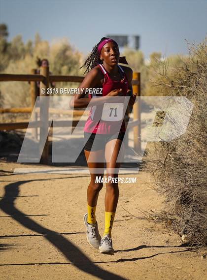 Thumbnail 1 in Golden League Meet #1  photogallery.