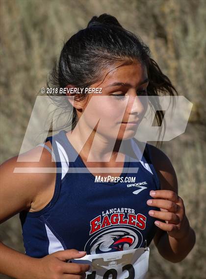 Thumbnail 3 in Golden League Meet #1  photogallery.