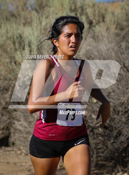 Thumbnail 2 in Golden League Meet #1  photogallery.