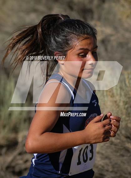 Thumbnail 1 in Golden League Meet #1  photogallery.