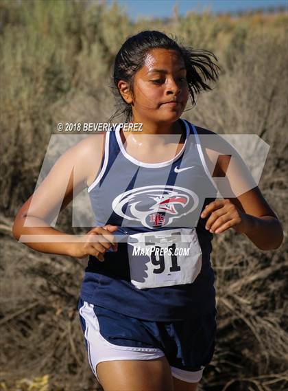 Thumbnail 3 in Golden League Meet #1  photogallery.