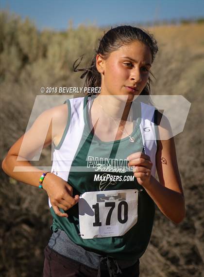 Thumbnail 3 in Golden League Meet #1  photogallery.