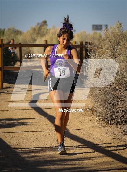 Thumbnail 3 in Golden League Meet #1  photogallery.