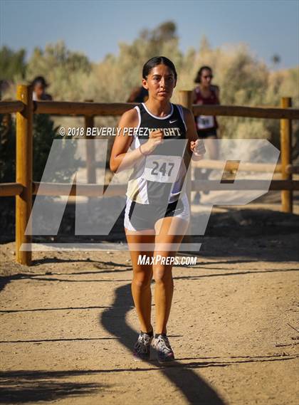 Thumbnail 1 in Golden League Meet #1  photogallery.
