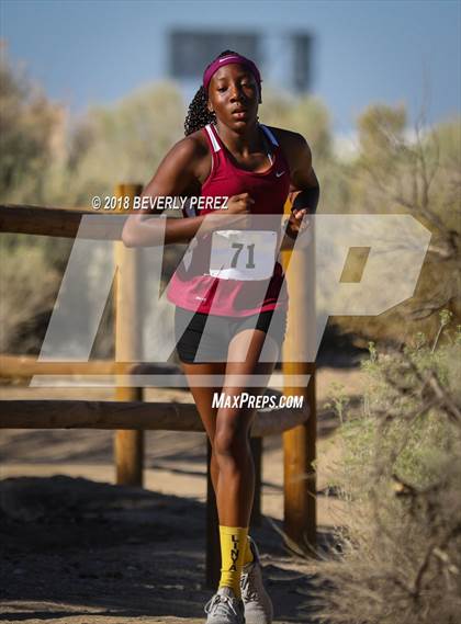 Thumbnail 3 in Golden League Meet #1  photogallery.