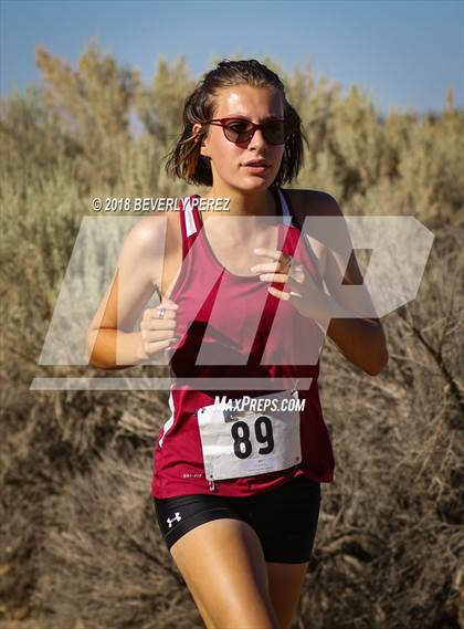 Thumbnail 3 in Golden League Meet #1  photogallery.