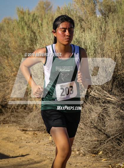 Thumbnail 3 in Golden League Meet #1  photogallery.