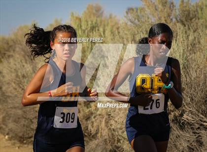 Thumbnail 2 in Golden League Meet #1  photogallery.