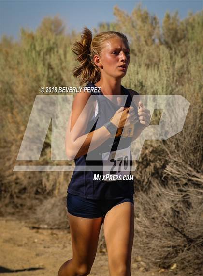 Thumbnail 3 in Golden League Meet #1  photogallery.