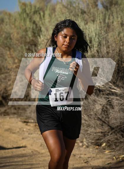 Thumbnail 2 in Golden League Meet #1  photogallery.