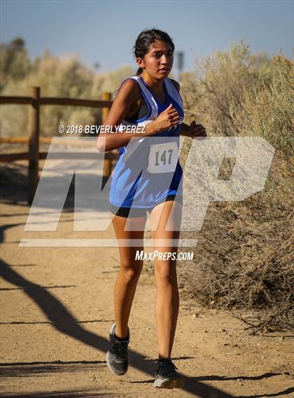 Thumbnail 1 in Golden League Meet #1  photogallery.