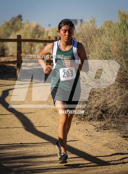 Thumbnail 2 in Golden League Meet #1  photogallery.