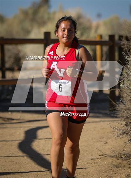 Thumbnail 2 in Golden League Meet #1  photogallery.