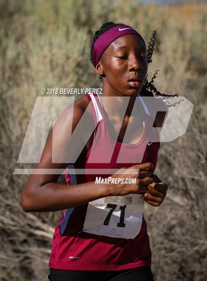 Thumbnail 1 in Golden League Meet #1  photogallery.