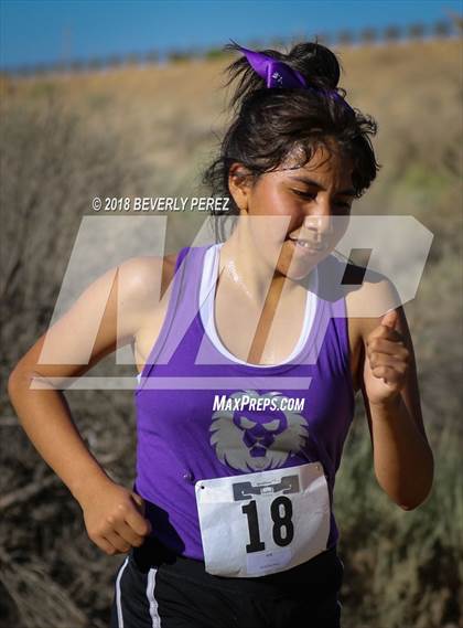 Thumbnail 2 in Golden League Meet #1  photogallery.