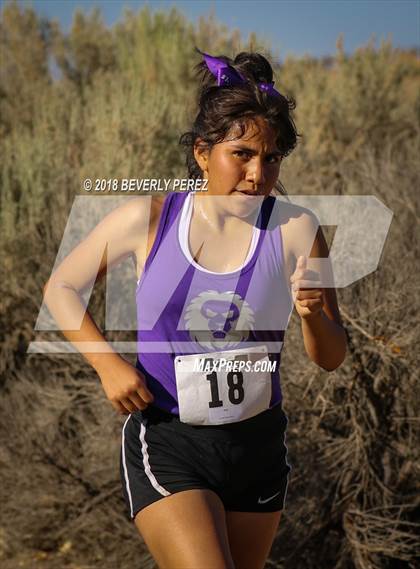 Thumbnail 3 in Golden League Meet #1  photogallery.