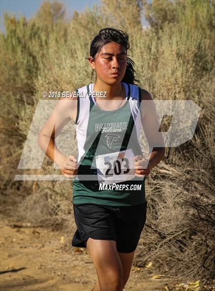 Thumbnail 2 in Golden League Meet #1  photogallery.