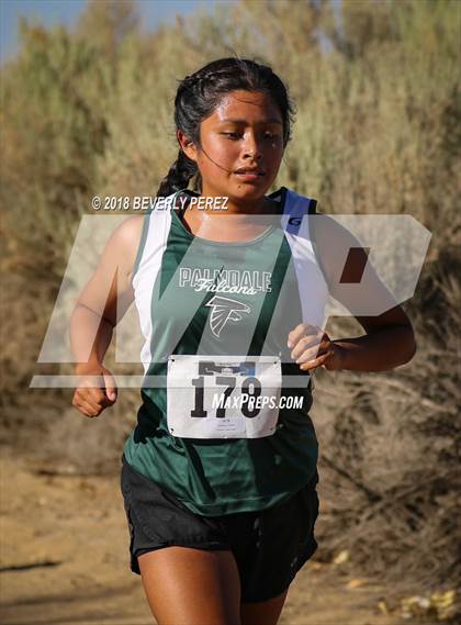 Thumbnail 2 in Golden League Meet #1  photogallery.