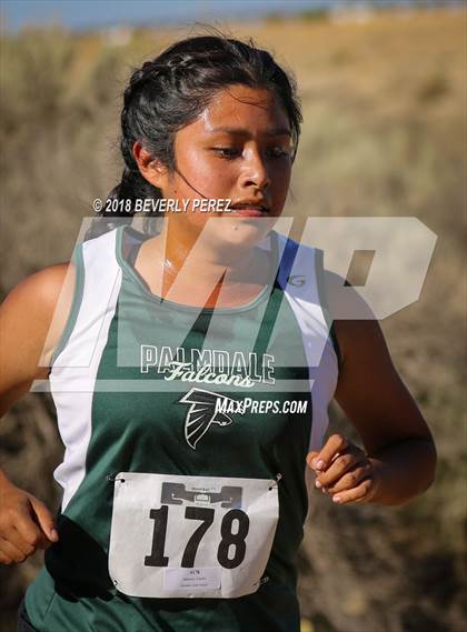 Thumbnail 1 in Golden League Meet #1  photogallery.