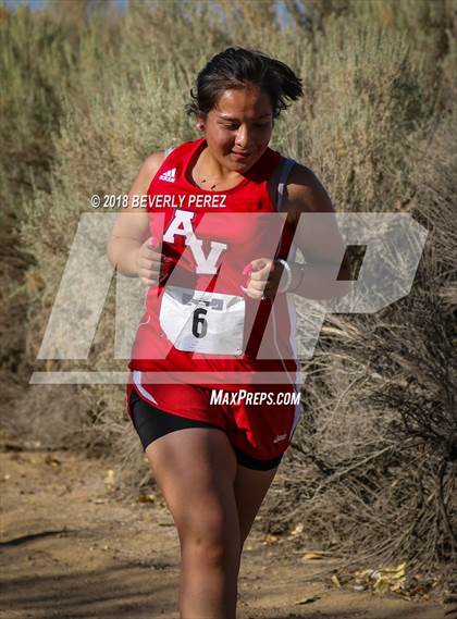 Thumbnail 2 in Golden League Meet #1  photogallery.