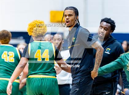 Thumbnail 3 in Pine Forest @ Cape Fear photogallery.