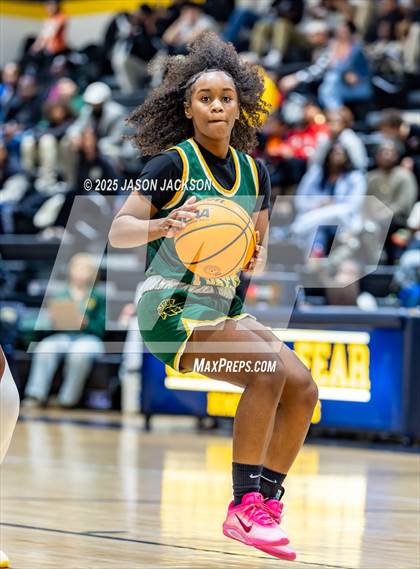 Thumbnail 3 in Pine Forest @ Cape Fear photogallery.