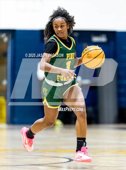 Thumbnail 1 in Pine Forest @ Cape Fear photogallery.