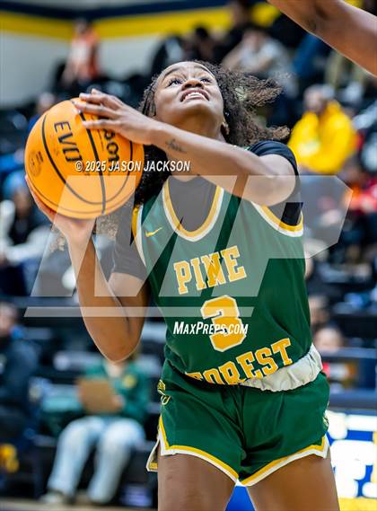 Thumbnail 1 in Pine Forest @ Cape Fear photogallery.