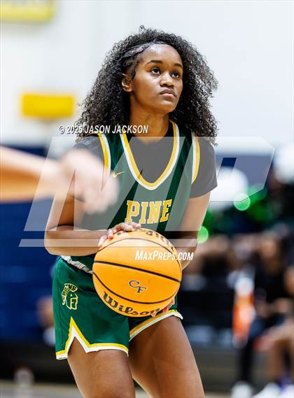 Thumbnail 2 in Pine Forest @ Cape Fear photogallery.