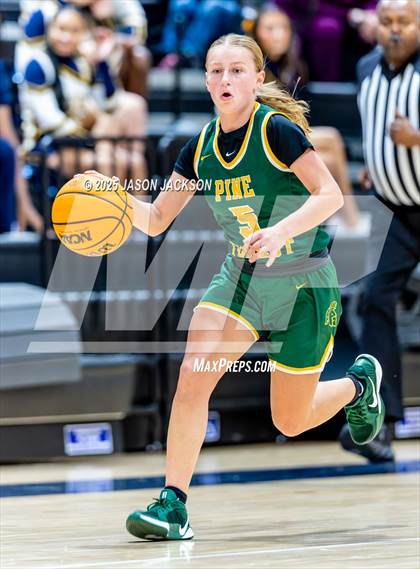 Thumbnail 3 in Pine Forest @ Cape Fear photogallery.