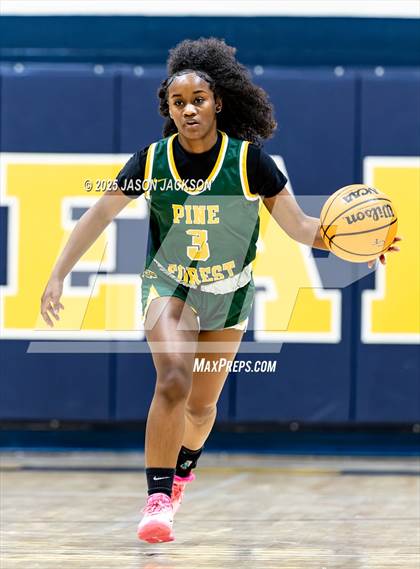 Thumbnail 2 in Pine Forest @ Cape Fear photogallery.