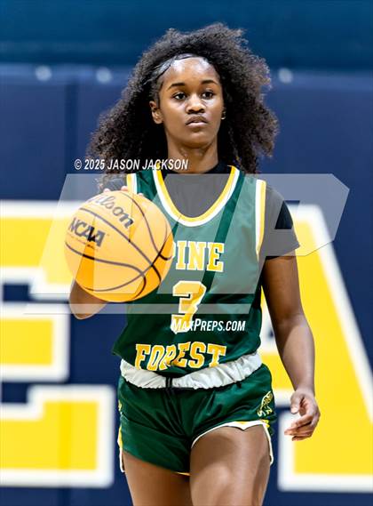 Thumbnail 1 in Pine Forest @ Cape Fear photogallery.