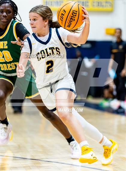 Thumbnail 1 in Pine Forest @ Cape Fear photogallery.