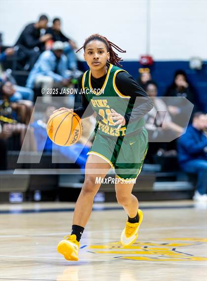 Thumbnail 3 in Pine Forest @ Cape Fear photogallery.