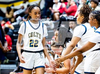 Thumbnail 1 in Pine Forest @ Cape Fear photogallery.