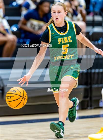 Thumbnail 1 in Pine Forest @ Cape Fear photogallery.