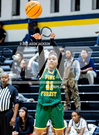 Thumbnail 1 in Pine Forest @ Cape Fear photogallery.