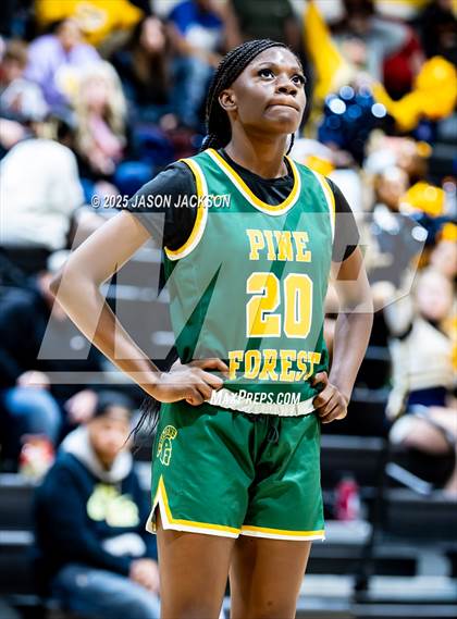 Thumbnail 2 in Pine Forest @ Cape Fear photogallery.