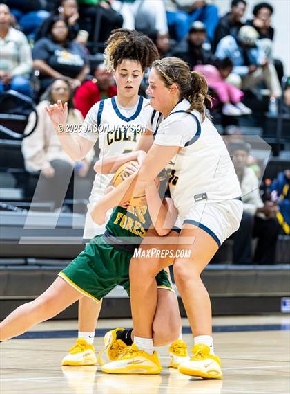 Thumbnail 3 in Pine Forest @ Cape Fear photogallery.