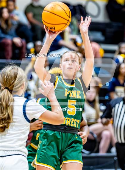 Thumbnail 1 in Pine Forest @ Cape Fear photogallery.