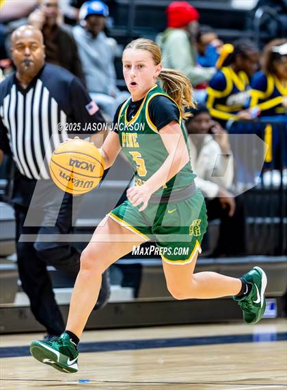 Thumbnail 1 in Pine Forest @ Cape Fear photogallery.