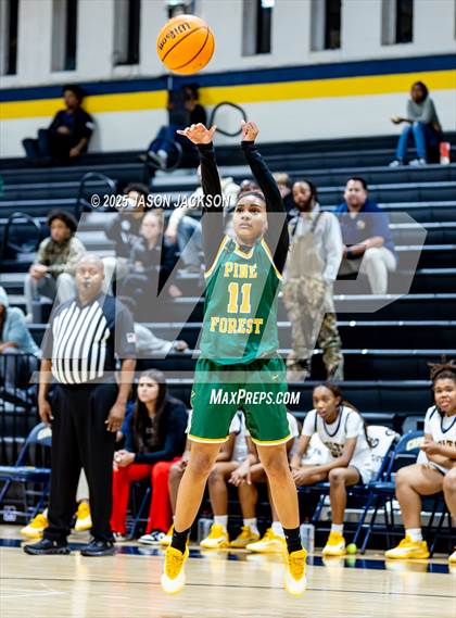 Thumbnail 3 in Pine Forest @ Cape Fear photogallery.