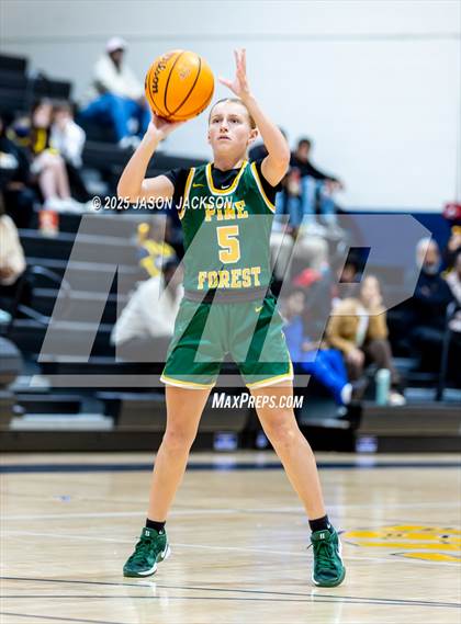 Thumbnail 1 in Pine Forest @ Cape Fear photogallery.