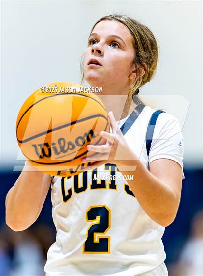 Thumbnail 3 in Pine Forest @ Cape Fear photogallery.